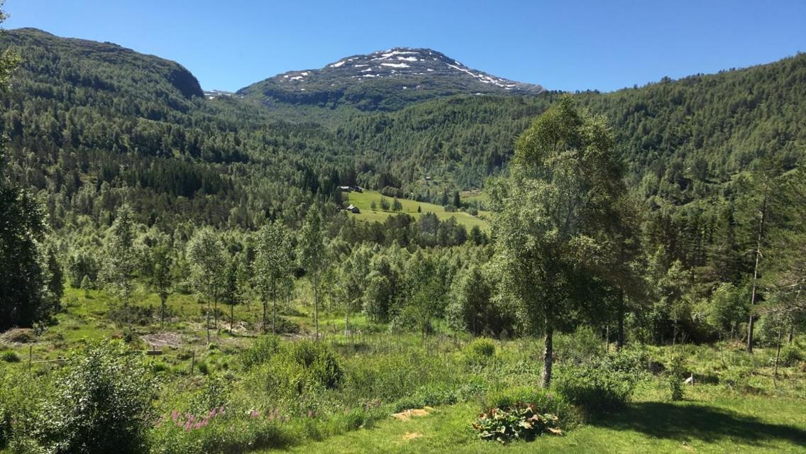 Voss Lodge Rongastovo 外观 照片