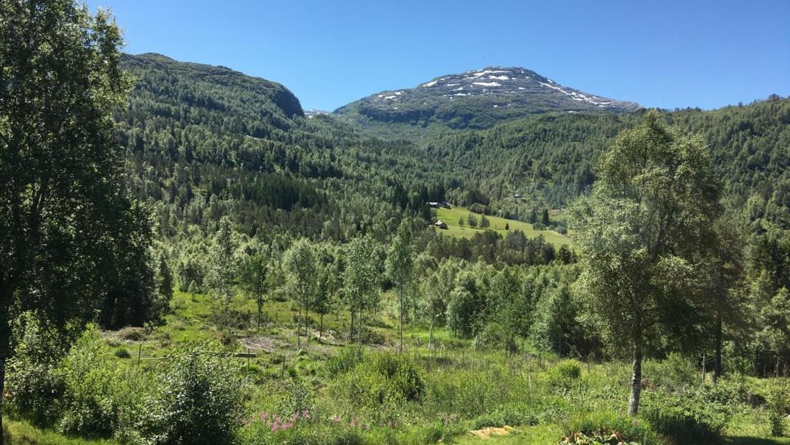 Voss Lodge Rongastovo 外观 照片