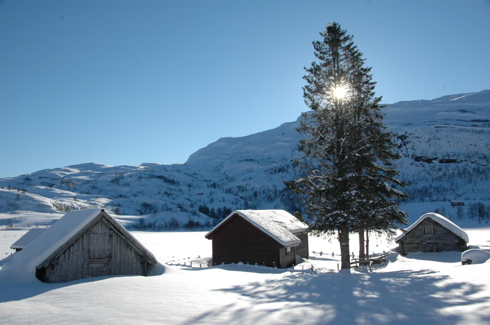 Voss Lodge Rongastovo 外观 照片